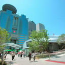 「終わったな......」ビートたけしも呆れる