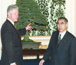 20080229_bonsai1.jpg