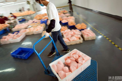 china12083.jpg