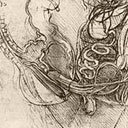 エロ漫画に見られる“子宮透視図（膣内断面図）”は、あのダヴィンチも描いていた！
