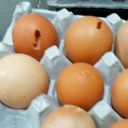 糞尿にまみれた“汚染卵”1,500万個以上が、9年間にわたって大量流通……韓国ギョーテン食品衛生事情