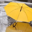 「軽トラ一台分も」台風の後、路上に捨てられビニ傘は誰が片付ける