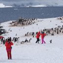 南極が危ない！　中国初の商用旅客機着陸で懸念される観光客“爆流入”と“自然破壊”
