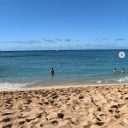 吉田沙保里、ハワイでサーフィンに挑戦も「深田恭子になりたいの？」の声