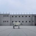 『白い牛のバラッド』イラン本国で上映中止の冤罪サスペンスが生まれた理由