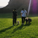 滝沢カレン、犬連れ婚でペットが3匹に「大の幸せ者(犬)になって」