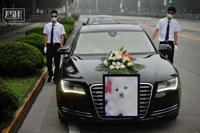 chinapet%25233