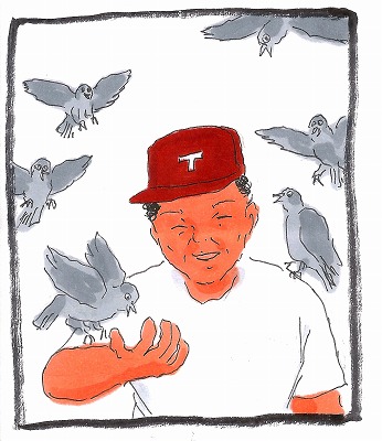 3seino_hato.jpg