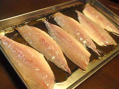 IMGP2898.jpg