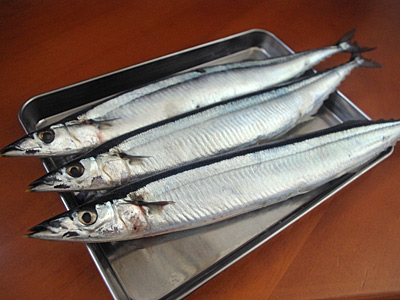 IMGP9158.jpg