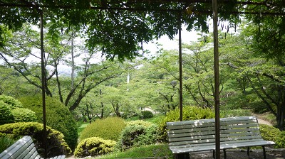 P1480669.jpg