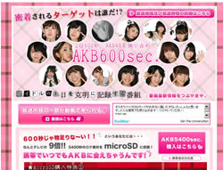 akb600sec.jpg