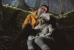 aokigahara4.jpg