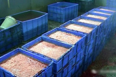 「価格は正規品の20分の1」中国で流通する激安加工食品の正体は……の画像2