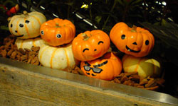 hallowin2012.jpg