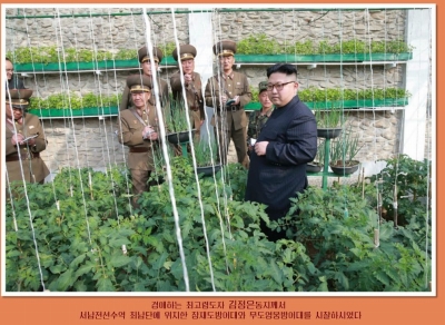 軍事演習よりメシの準備に大忙し!? 北朝鮮軍兵士たちの涙ぐましい自給自足ライフの画像4