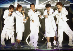 kattun-all0224.jpg