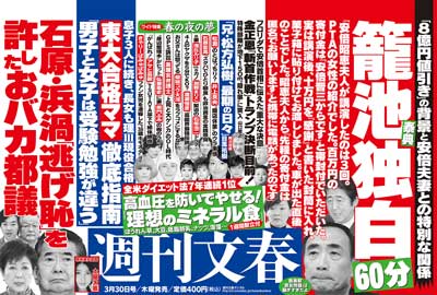 老人を木に縛って焼き殺し、5歳女児の喉をナイフで切り裂く──ミャンマー政府軍「ロヒンギャ虐殺」の現実の画像1