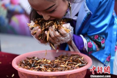 優勝者は5分で1,000匹超を完食！　「昆虫大食い大会」がまるでホラー……の画像1