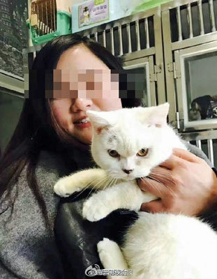 ペットショップへの腹いせ!?　返品拒否された女が、飼い猫の皮を剥いで遺棄！の画像1