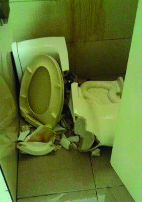 toilet011.jpg