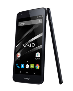 vaio001.jpg