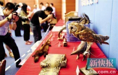 絶滅危惧種のウミガメ38匹をまるゆで　残酷すぎる中国「希少動物密売」の実態の画像3