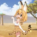 9月25日午後8時、たつき監督はなぜツイートをしたのか──『けものフレンズ』わからなかったこと、そして、わかったこと。