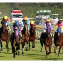 武豊の美技からサブちゃん涙の初優勝、そして日本馬が香港で大活躍……2015年競馬ベストレースを発表！