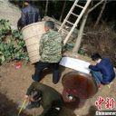 中国農村で祈祷師による呪術殺人「肉まんのように蒸し焼きにされ……」