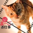森、中曽根、菅…政治猫・まーごが嫌った政治家は誰だ!?