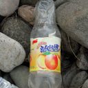日本海沿岸にも漂着　金正恩第1書記のお気に入り「桃の香り炭酸甘水」って？