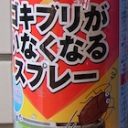 キンチョールだけでは全然ダメ！　絶対ゴキブリを出さない害虫駆除