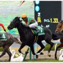 歴代勝ち馬には“超名馬”の名も……週末の『シンザン記念（G3）』を競馬部門スタッフが徹底談義