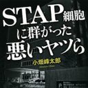 STAP細胞検証実験終了！小保方騒動とは何だったのかを改めて検証する