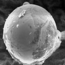 謎の「金属玉」からスライム状の物質　分析結果「地球外生命体が地球に送り込んだ“生命の種”の可能性」