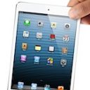 普通すぎ、意外に便利…結局iPad miniは買いか？