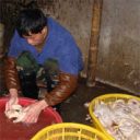 「“毒”麻油鴨が幼稚園の給食に……」中国食品偽装の現場