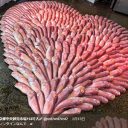 「食べ物で遊ぶな！」「ギョギョッ」バレンタインに鯛200匹以上をハート型にした卸売店が物議