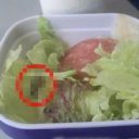 サラダにカタツムリ、白米にカビ……中国系航空会社の機内食にご用心