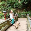 浜崎あゆみ、「神聖な場所なのに……」神社の境内に堂々と愛犬を連れ込み批判殺到