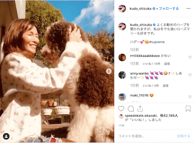 愛犬 工藤 静香 工藤静香さんの愛犬をリサーチ！種類やキムタクとのエピソードまで