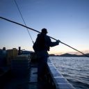 “鯨食文化”を守るため国際機関を脱退…商業捕鯨の再開に踏み出した日本政府の意義