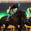 新型コロナウイルス騒動で無観客に…そんな非常事態の野球・競馬・相撲の楽しみ方とは？