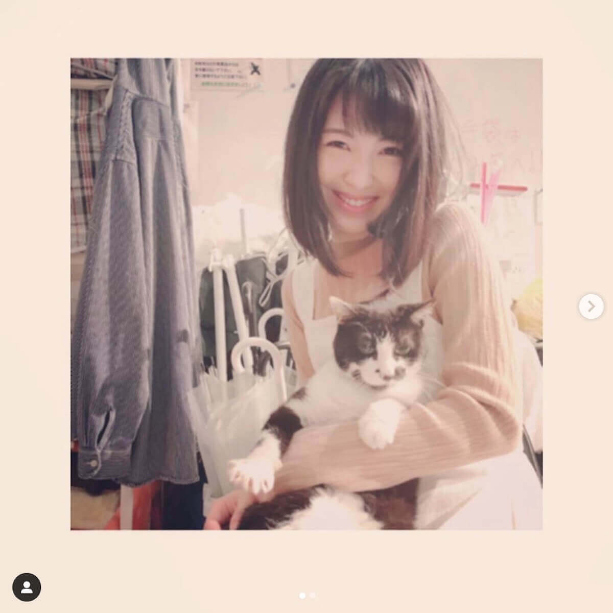 浜辺美波 満面の笑みで猫を抱くショットが大反響 猫になりたい人生だった 日刊サイゾー 浜辺美波 満面の笑みで猫を抱くショットが大反響 猫になりたい人生だった 日刊サイゾー