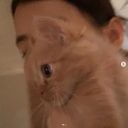 石田ゆり子、自宅に新しい保護猫を迎えたインスタ報告に「泣けてしまった」の声
