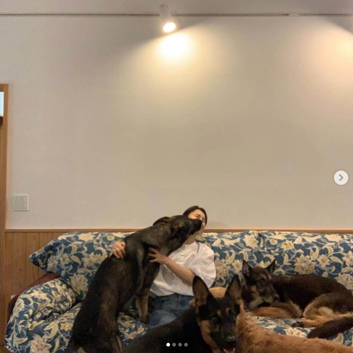 石田ゆり子 興奮した大型犬と戯れる姿に大反響 ワンちゃんにもモテモテ 日刊サイゾー 石田ゆり子 興奮した大型犬と戯れる姿に大反響 ワンちゃんにもモテモテ 日刊サイゾー