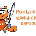 Pontaポイントのお得な貯め方と使い方まとめ au PAYならポイントの3重取りも可能！