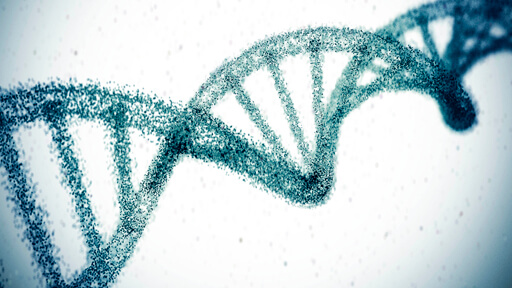 東京大学の研究Gがアレルギー性鼻炎を悪化させる因子を発見　画期的な治療法開発もの画像1