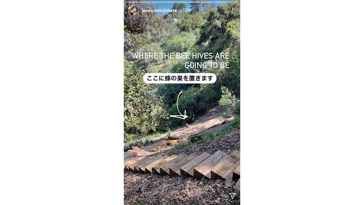 道端ジェシカ「子供用の公園に、鶏小屋、蜂の巣」規模が違うロスの自宅改装中の画像3